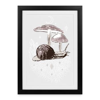 Pilze Weinbergschnecke Schnecke Kristalle - Gerahmtes Poster (27 × 37 cm) - Schwarz - Vorne