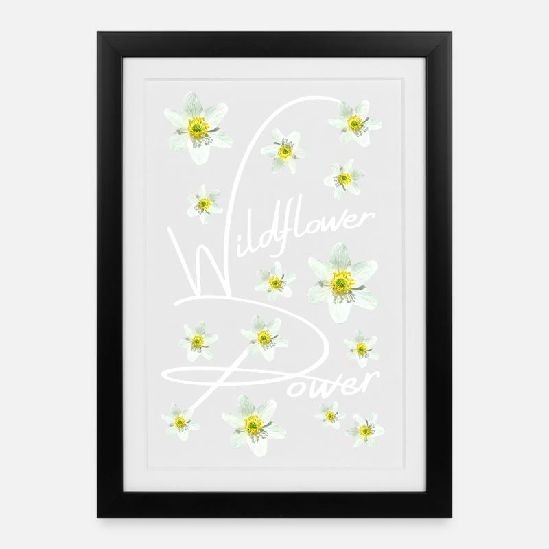 BUSCHWINDRÖSCHEN - Gerahmtes Poster (27 × 37 cm) - Schwarz