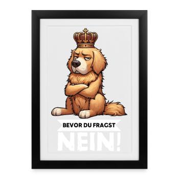 Avant de demander à Goldie Goldies Golden Retriever - Affiche encadrée (27 × 37 cm) - noir - Devant