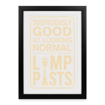 How to Look Normal on Lanterns | Geocaching Humor - Framed poster (27 × 37 cm) - black - Front