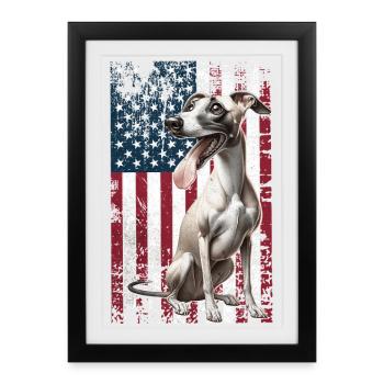 Whippet US Windhund - Gerahmtes Poster (27 × 37 cm) - Schwarz - Vorne