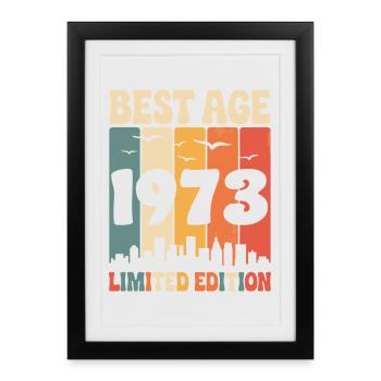  1973 anniversaire rétro 1973 vintage 1973 - Affiche encadrée (27 × 37 cm) - noir - Devant