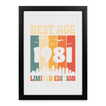  1981 anniversaire rétro 1981 vintage 1981 - Affiche encadrée (27 × 37 cm) - noir - Devant