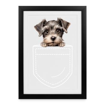 Chien Schnauzer nain - Affiche encadrée (27 × 37 cm) - noir - Devant