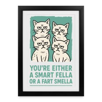 Fella intelligent ou pet Smella Cats Meme Humour - Affiche encadrée (27 × 37 cm) - noir - Devant