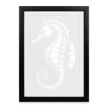 Sea horse - Framed poster (27 × 37 cm) - black - Front