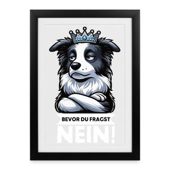 Avant que vous ne demandiez : Border Collie, Chien de Troupeau, Chien Collie - Affiche encadrée (27 × 37 cm) - noir - Devant