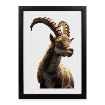 Capricorn Goat Alpine Ibex Capricorn Goats - Framed poster (27 × 37 cm) - black - Front