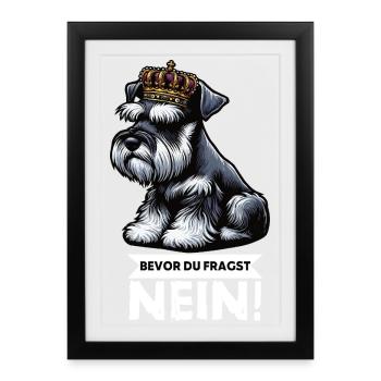 Avant que vous ne demandiez Pas de Schnauzer Géant - Affiche encadrée (27 × 37 cm) - noir - Devant