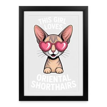 Oriental Shorthair Sayings Joke Cat Gift - Framed poster (27 × 37 cm) - black - Front