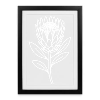 Minimalist Protea Line Flower - Framed poster (27 × 37 cm) - black - Front