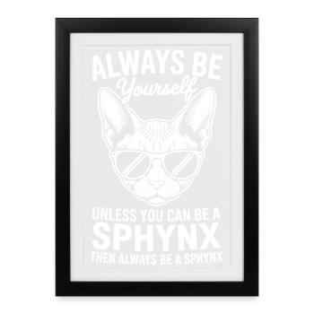 Sphynx Cat Dicts, drôle de cadeau Sphynx Cat - Affiche encadrée (27 × 37 cm) - noir - Devant