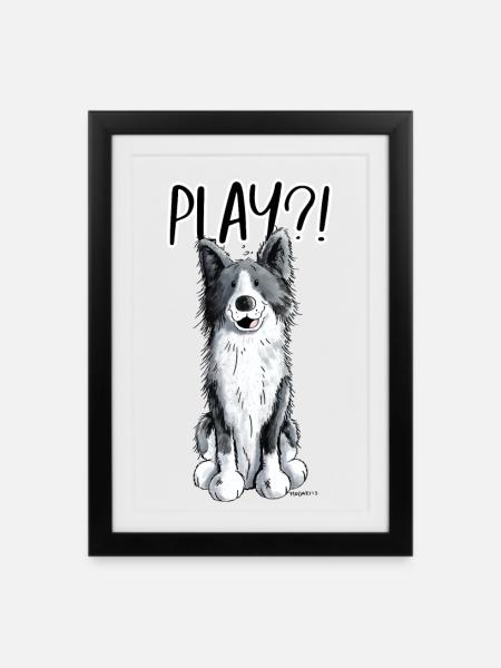 Border Collie Play - Gerahmtes Poster (27 × 37 cm) - Schwarz