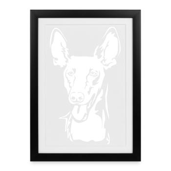 Pharaoh dog (Kelb-tal Fenek) head "Black Edition" - Framed poster (27 × 37 cm) - black - Front