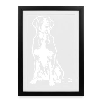 Grand Sennenhund suisse « Black Edition » - Affiche encadrée (27 × 37 cm) - noir - Devant