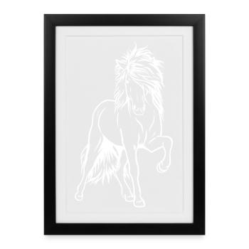 Iceland stallion white - Framed poster (27 × 37 cm) - black - Front