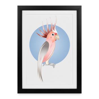 Oiseau cacatoès rose avec un fond bleu délicat - Affiche encadrée (27 × 37 cm) - noir - Devant