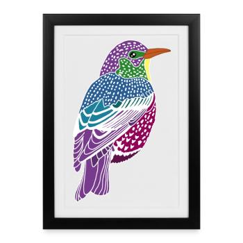 Mehrfarbiger Vogel - Gerahmtes Poster (27 × 37 cm) - Schwarz - Vorne