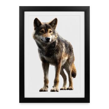 Wolf Love Wolves Wolf Pack Wolfhound Wild Wolf - Framed poster (27 × 37 cm) - black - Front