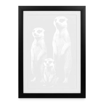 Meerkat light - Framed poster (27 × 37 cm) - black - Front