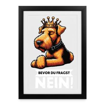 Avant que vous ne demandiez : Airedale Terrier Airedales - Affiche encadrée (27 × 37 cm) - noir - Devant