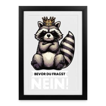 Before you ask: No, raccoon, raccoon, forest animal - Framed poster (27 × 37 cm) - black - Front