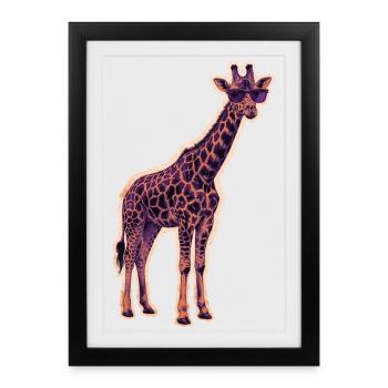 Lunettes de soleil girafe cool - Affiche encadrée (27 × 37 cm) - noir - Devant