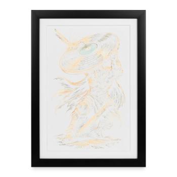 Disques vinyles de collection Vinyl Vinyl Collections - Affiche encadrée (27 × 37 cm) - noir - Devant