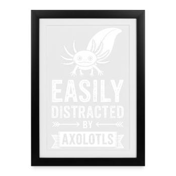 Dictons de l’axolotl Cadeau drôle d’Axolotl - Affiche encadrée (27 × 37 cm) - noir - Devant