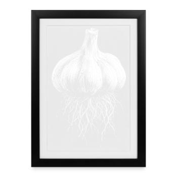 Garlic - Framed poster (27 × 37 cm) - black - Front