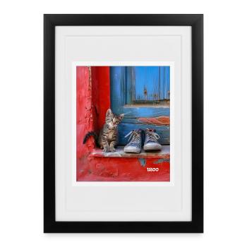 sweet cat - Gerahmtes Poster (27 × 37 cm) - Schwarz - Vorne