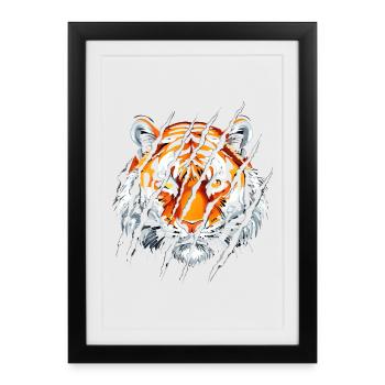 Design de tête de tigre sauvage - Majestic Big Cat - Affiche encadrée (27 × 37 cm) - noir - Devant
