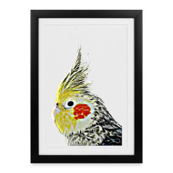 Nymphensittich (13) - Gerahmtes Poster (27 × 37 cm) - Schwarz - Vorne