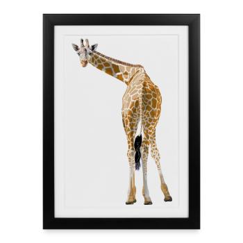 Girafe salue depuis la savane - Affiche encadrée (27 × 37 cm) - noir - Devant