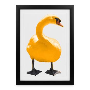 Impression d’art cygne élégant - Affiche encadrée (27 × 37 cm) - noir - Devant