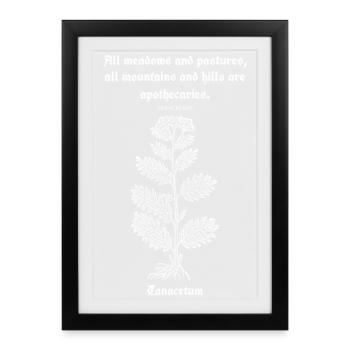 Citation latine de Paracelse – Illustration de tanaisie - Affiche encadrée (27 × 37 cm) - noir - Devant