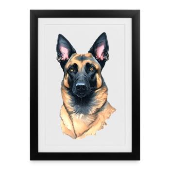 Belgian Shepherd Malinois - Framed poster (27 × 37 cm) - black - Front