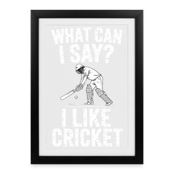Funny Cricket Saying Vintage Cricket Game - Framed poster (27 × 37 cm) - black - Front