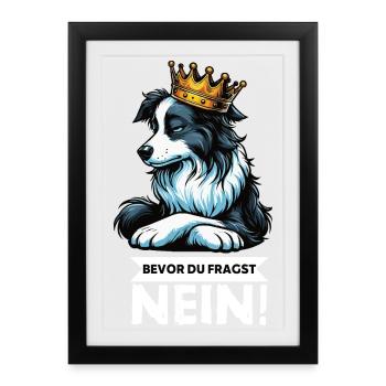 Avant que vous ne demandiez : Border Collie, Chien de Troupeau, Chien Collie - Affiche encadrée (27 × 37 cm) - noir - Devant