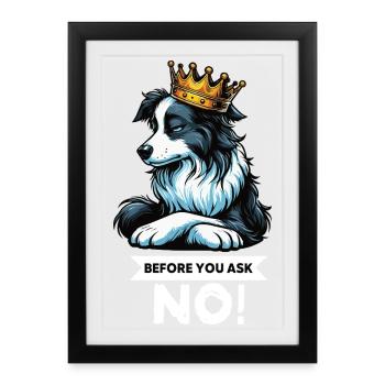 Avant que vous ne demandiez Border Collie Hütehund Collie - Affiche encadrée (27 × 37 cm) - noir - Devant
