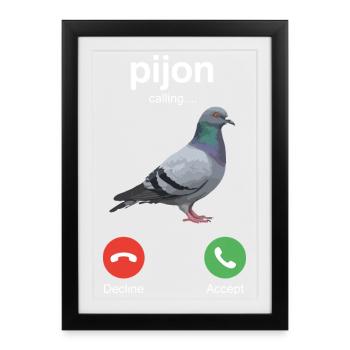 Pijon Calling Écran de pigeon drôle par hasard - Affiche encadrée (27 × 37 cm) - noir - Devant
