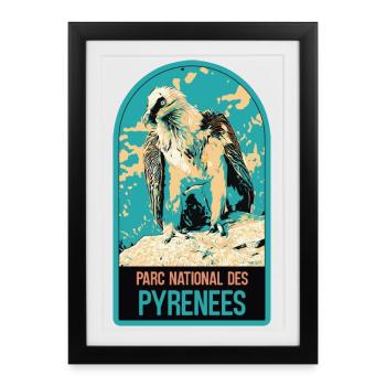 Gypaète Parc National Pyrénées : Faune Majestueuse - Affiche encadrée (27 × 37 cm) - noir - Devant
