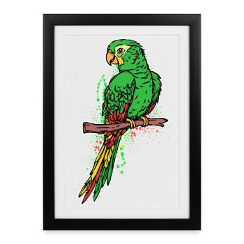 Bird, Bird Lover, Animal, Parrot, Pet, Zoo - Framed poster (27 × 37 cm) - black - Front