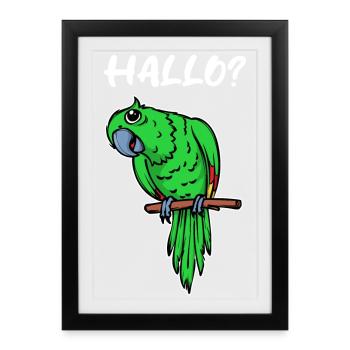 Perroquet disant, Animal d’oiseau, Amoureux des oiseaux, animal de compagnie - Affiche encadrée (27 × 37 cm) - noir - Devant