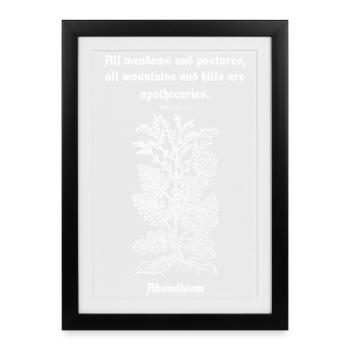 Citation latine de Paracelse – Absinthium Illustration - Affiche encadrée (27 × 37 cm) - noir - Devant