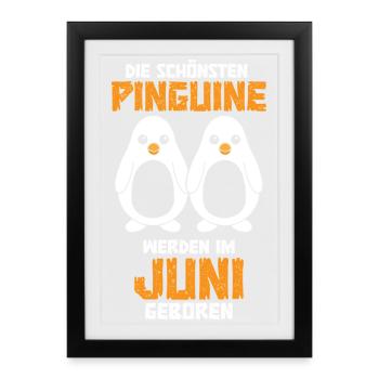 June Birthday Penguin Saying Funny - Framed poster (27 × 37 cm) - black - Front