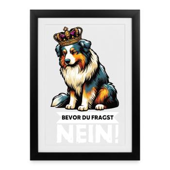 Avant que vous ne demandiez : Berger australien Aussie Aussie - Affiche encadrée (27 × 37 cm) - noir - Devant