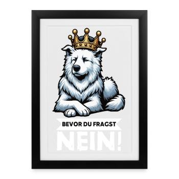 Before you ask: White Shepherd Shepherd - Framed poster (27 × 37 cm) - black - Front