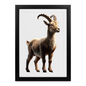 Capricorn Goat Alpine Ibex Capricorn Goats - Framed poster (27 × 37 cm) - black - Front