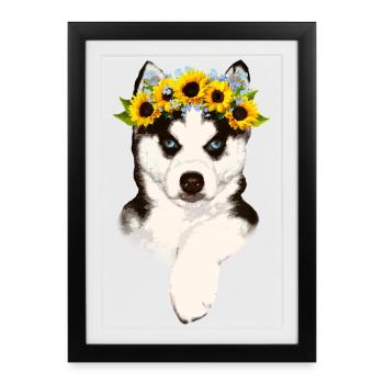 Husky with sunflower wreath - Framed poster (27 × 37 cm) - black - Front